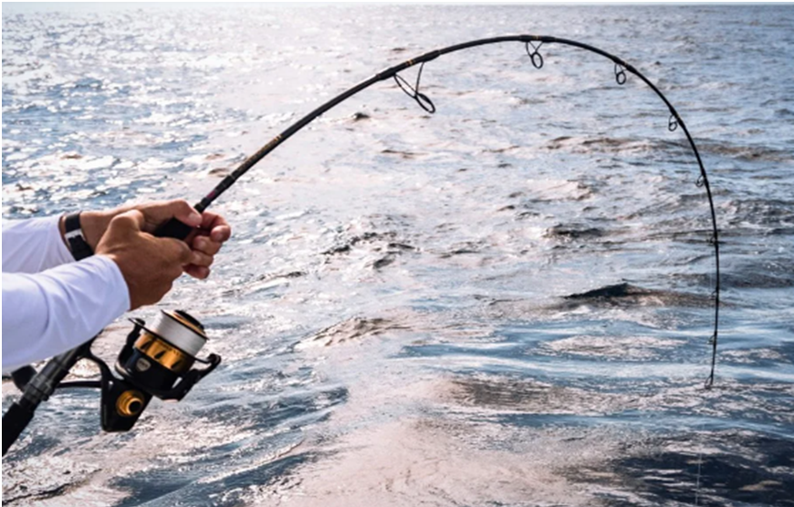 How to Choose Inshore Saltwater Fishing Equipment